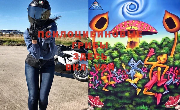 кокс Новокубанск