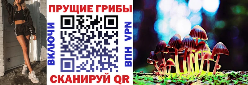 Псилоцибиновые грибы ЛСД  kraken как войти  Электроугли  продажа наркотиков 